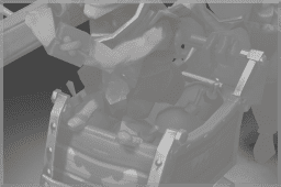 belt