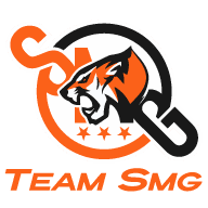 Team SMG Bronze to Silver Tier Support