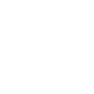 Tundra Esports  Bronze Tier Support