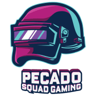 Pecado Squad Gaming Bronze Tier Support