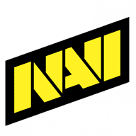 Natus Vincere Silver to Gold Tier Support - DPC Winter Tour - 2021-2022