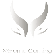 Xtreme  Gaming Bronze Tier Support - DPC Winter Tour - 2021-2022