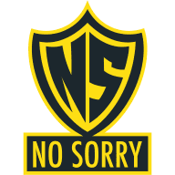 NO SORRY Bronze Tier Support - DPC Summer Tour - 2021-2022