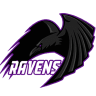 Ravens Bronze Tier Support - DPC Summer Tour - 2021-2022