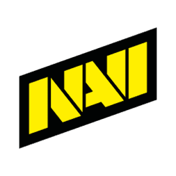 Natus Vincere Team Sticker - TI 2022